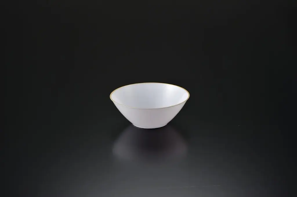 [CL08] 270mm Heavy Duty Salad Bowl White w/Gold or Silver Rim Pk1