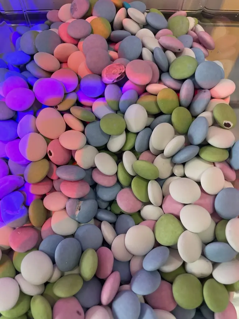 [DBL171] DB Large Pastel Mint Lentils