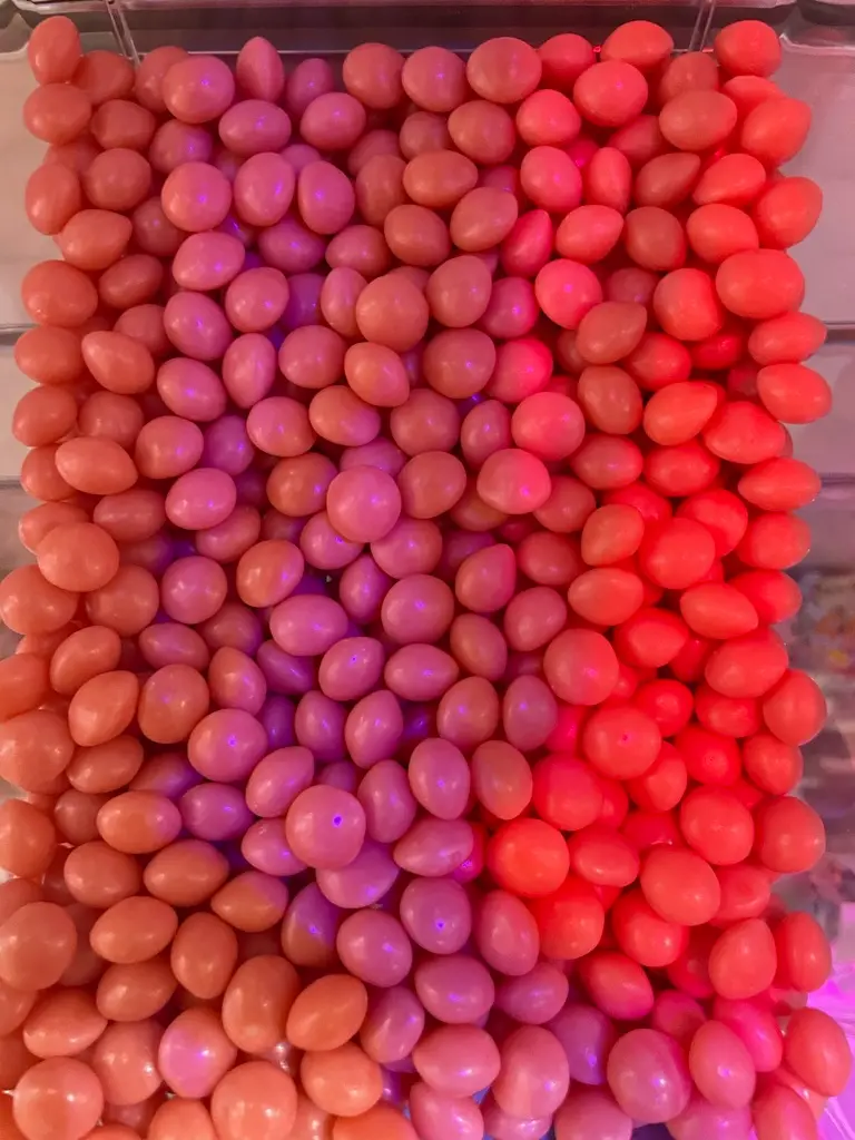 [MVL002] Matov Circlets Pink