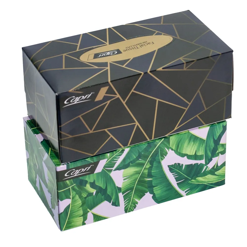 [C-TI0186] Facial Tissues 2 Ply 200 Pack White