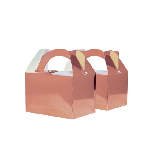 [6231MRGP] FS LTL LUNCHBOX MET RGOLD P10