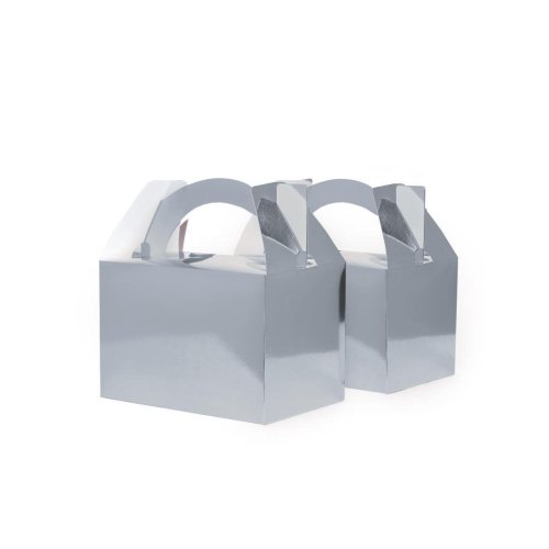 [6231MSP] FS LTL LUNCHBOX MET SILVER P10