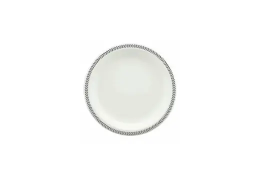[SG910PS] 230mm Earth Sugar Cane Plate Printed Rim Silver Pk10