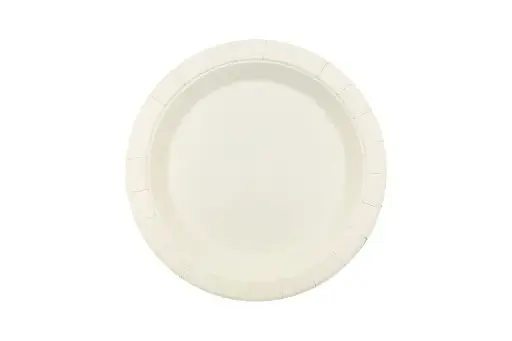 [PA915] 230mm FSC Round White Paper Plate Pk15