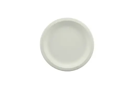 [SG1025] 250mm Earth Sugar Cane Plate Pk25