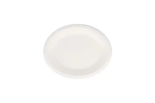 [SGOL25] 320mm x 260mm Earth Oval Sugar Cane Plate Pk25